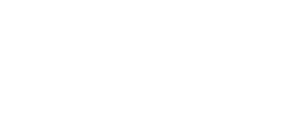 Consolida - Piattaforma per la formazione e gli incontri di rete a distanza